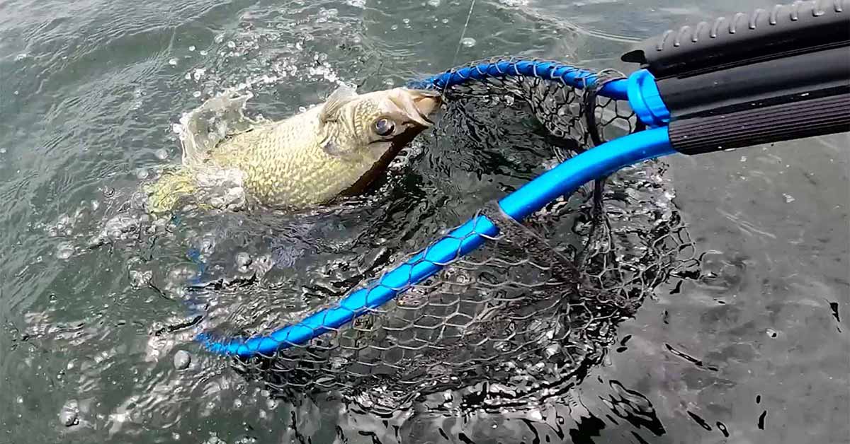 lake vermilion fishing report