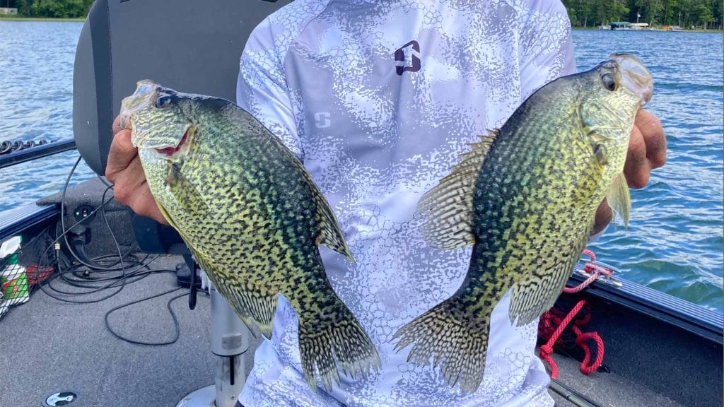 Central Minnesota fishing
