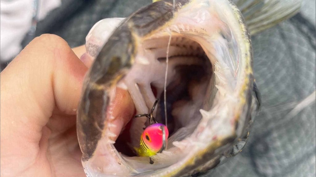  Lake Vermilion Fishing Report