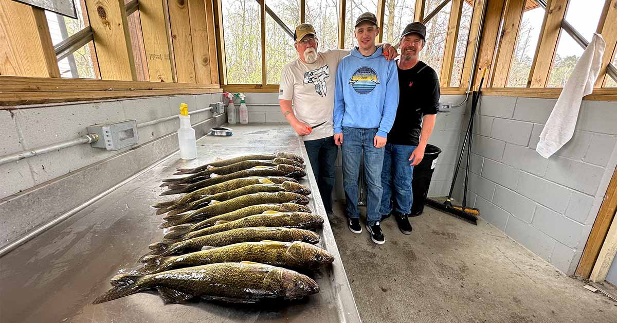 leech lake walleyes web