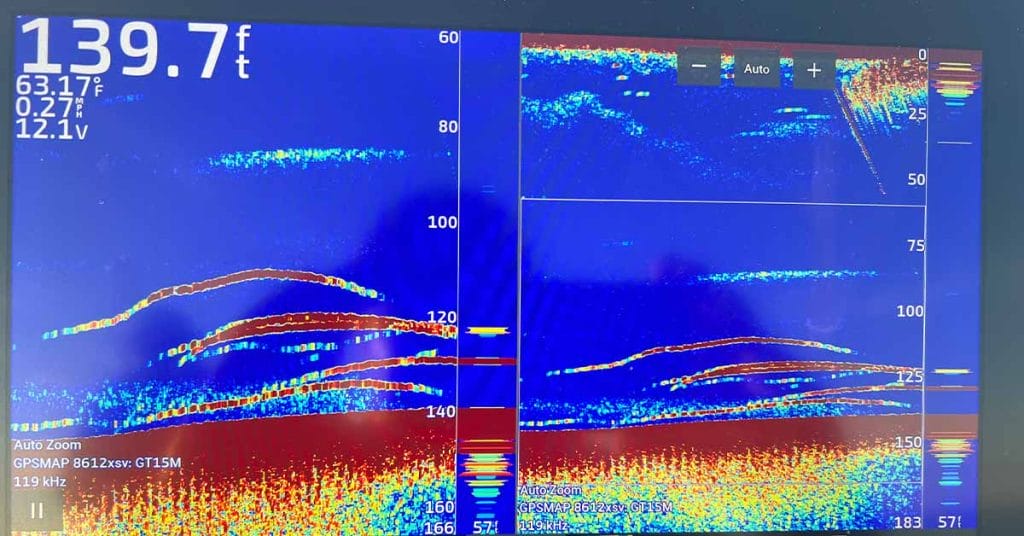 Michigan Fishing Report
