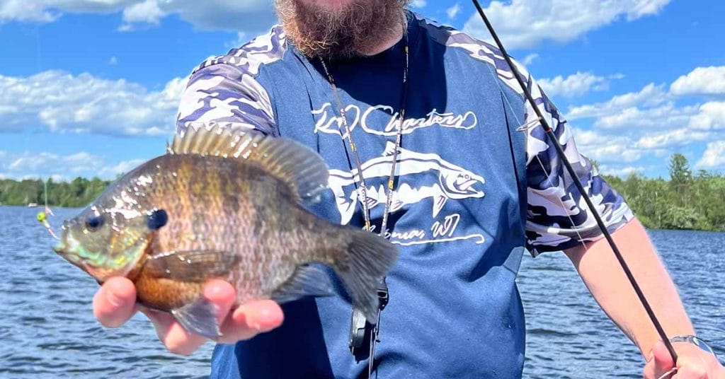 Duluth area fishing report