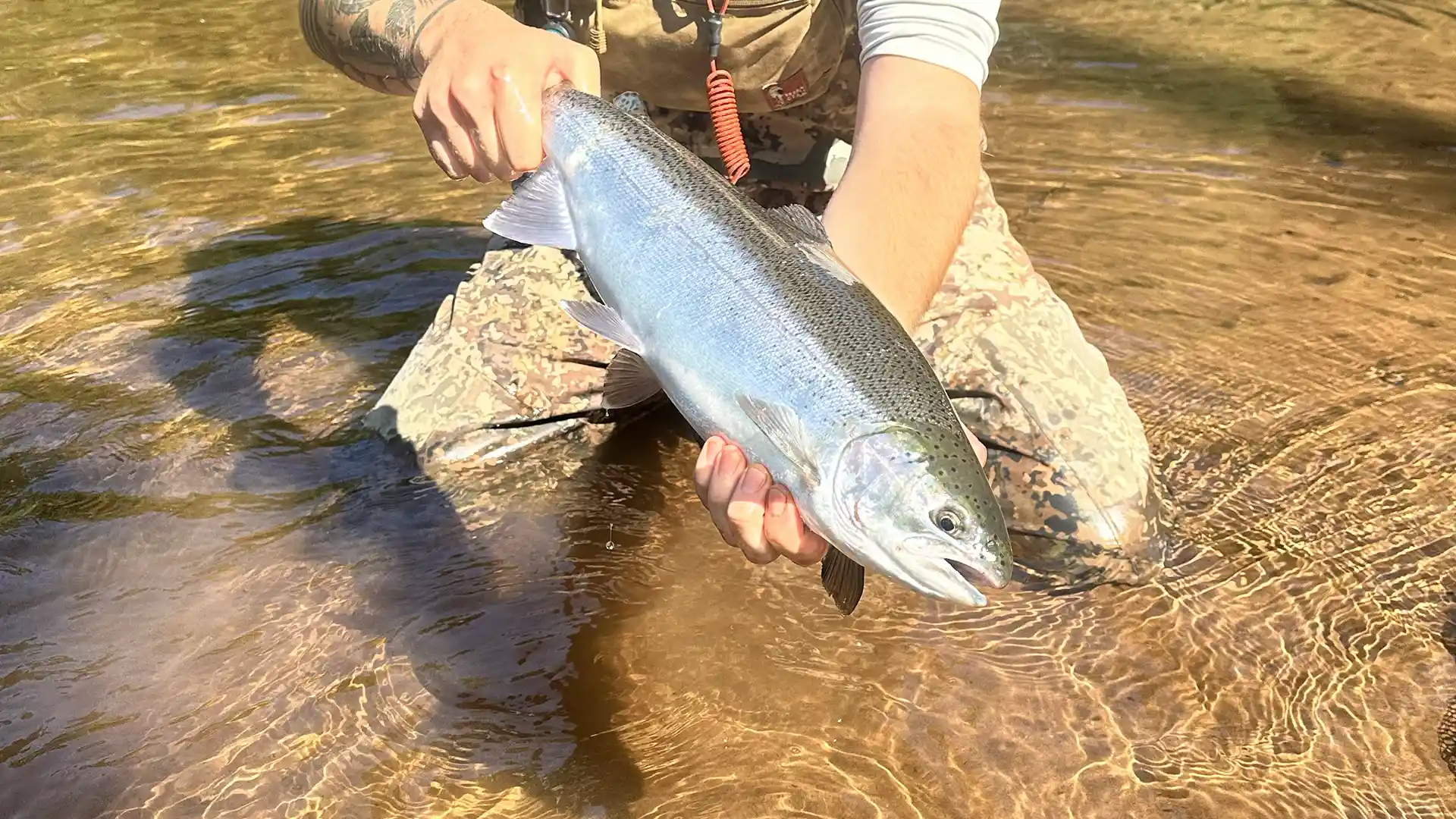 Lake Superior Trout Report