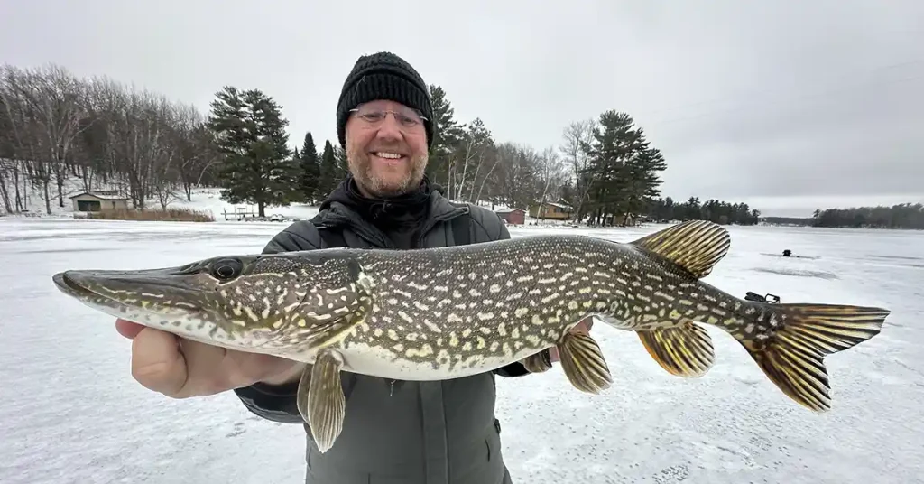 pickled pike start to finish 