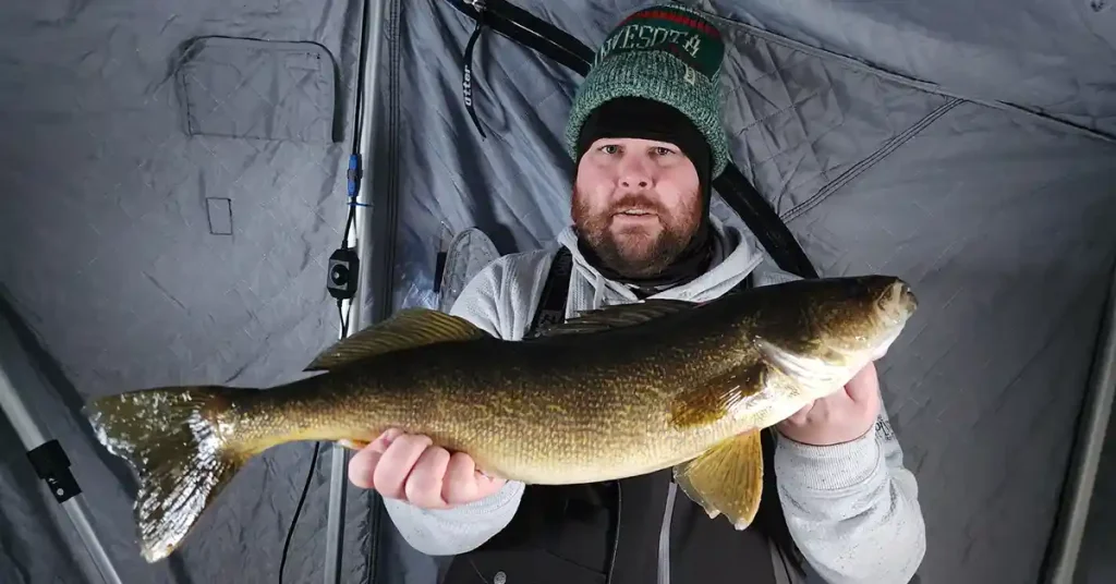 Brainerd Minnesota Fishing Report