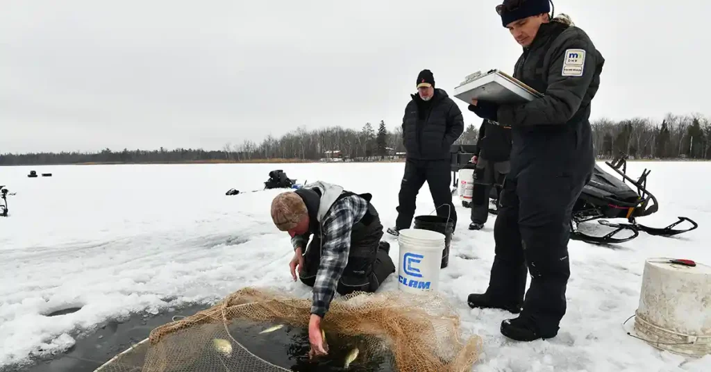 DNR Barotrauma Study (Part 2)