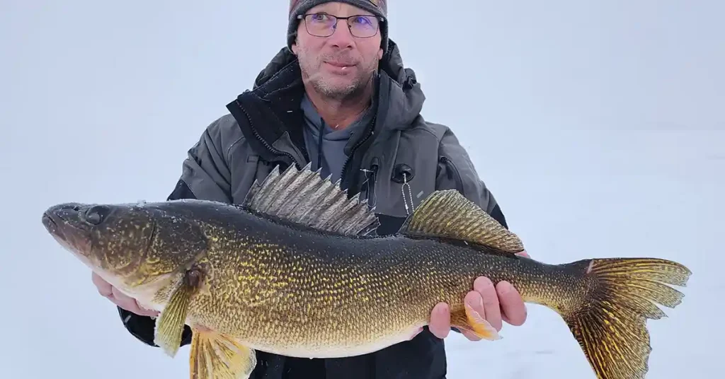 Brainerd Minnesota Fishing Report