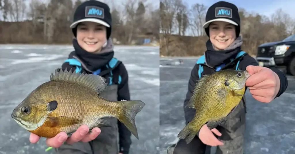Lake Minnetonka fishing report 