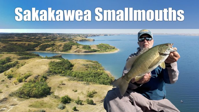 Lake Sakakawea Smallmouth Bass