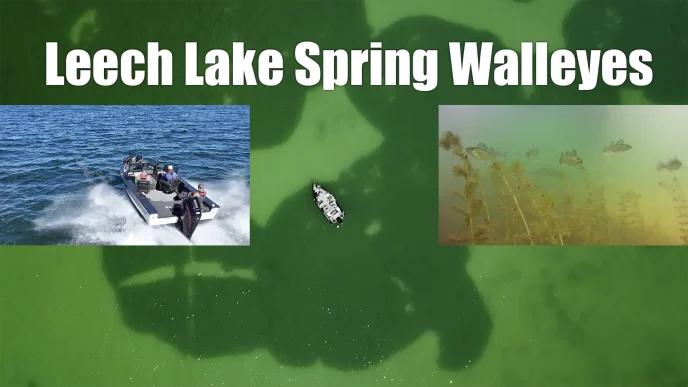 spring walleyes