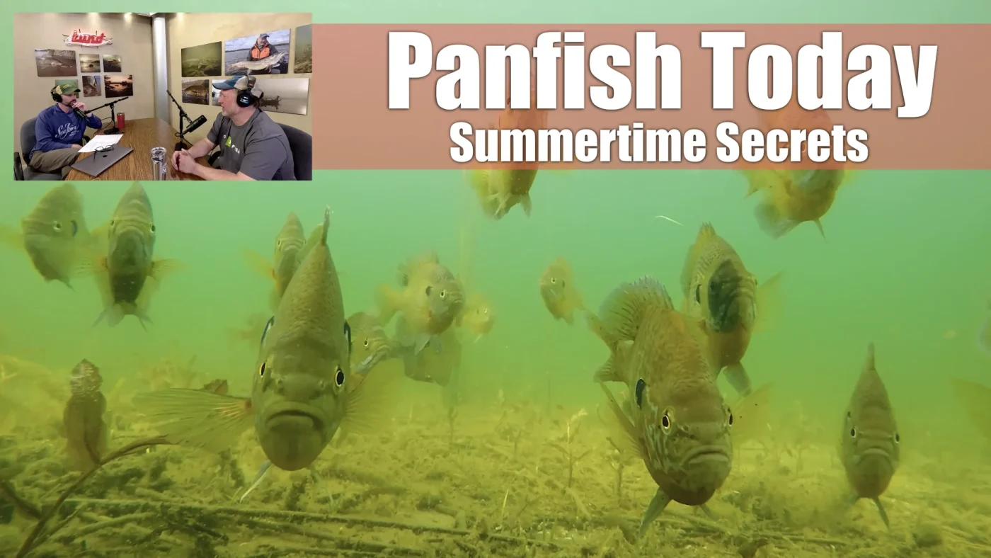 summer panfishing