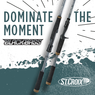 SCR 315x315 BlackBass B 0425