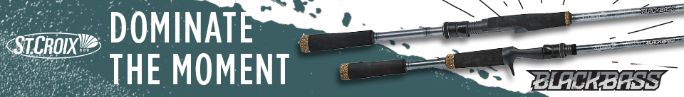 SCR 960x137 BlackBass B