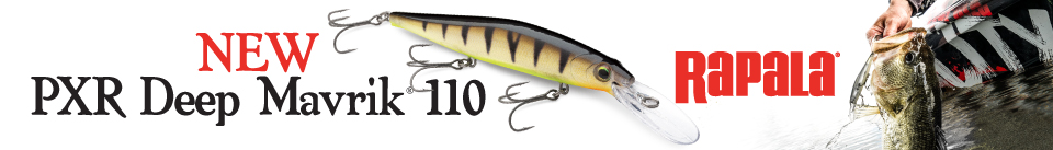 rp pxr deep mavrik digital banners 960x137 copy