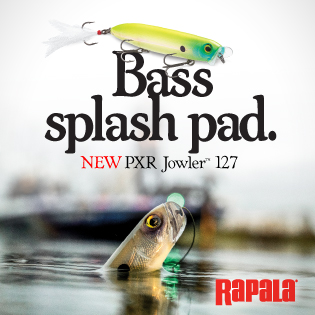 rp pxr jowler digital banners 315x315 copy