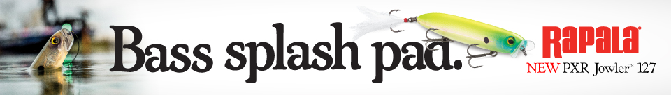 rp pxr jowler digital banners 960x137 copy