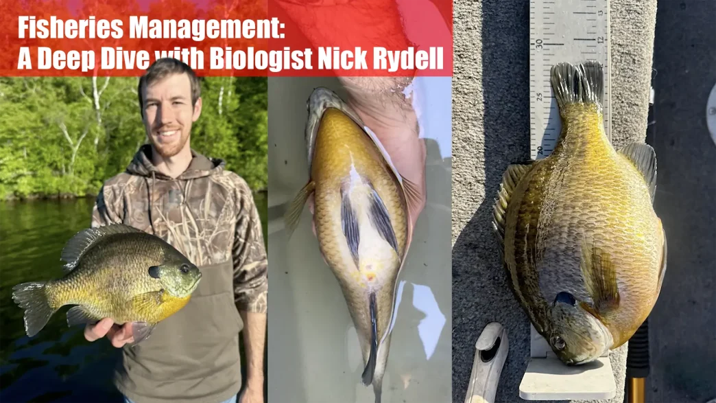 Fisheries Management