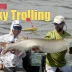 Musky Trolling
