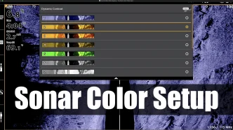 Sonar Color Setup copy