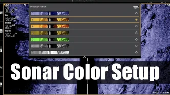 Sonar Color Setup copy