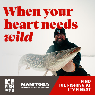 23 055 ICE FISH display ads 315x315 A