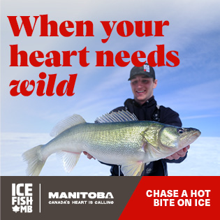 23 055 ICE FISH display ads 315x315 B2