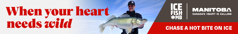 23 055 ICE FISH display ads 960x137 B2