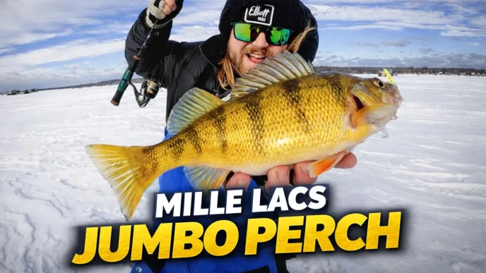 Run and Gun Perch Ice Fishing