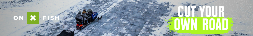 onX Fish Canadian Experience Ads Banner 3