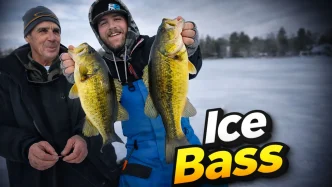 Ice Fishing Largemouth Bass Finding Fish in Deep Winter Weeds