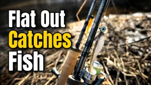 One Swimbait Setup That Catches Almost Everything