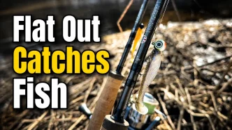 One Swimbait Setup That Catches Almost Everything
