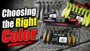 swimbait color