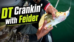 DT cranking with feider