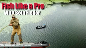 FIEDER THUMBNAIL IMPROVED