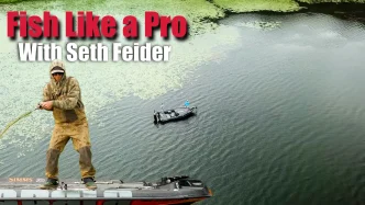 Seth feider final
