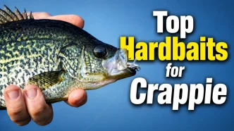 hardbaits for crappie
