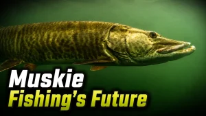 muskie fishings future