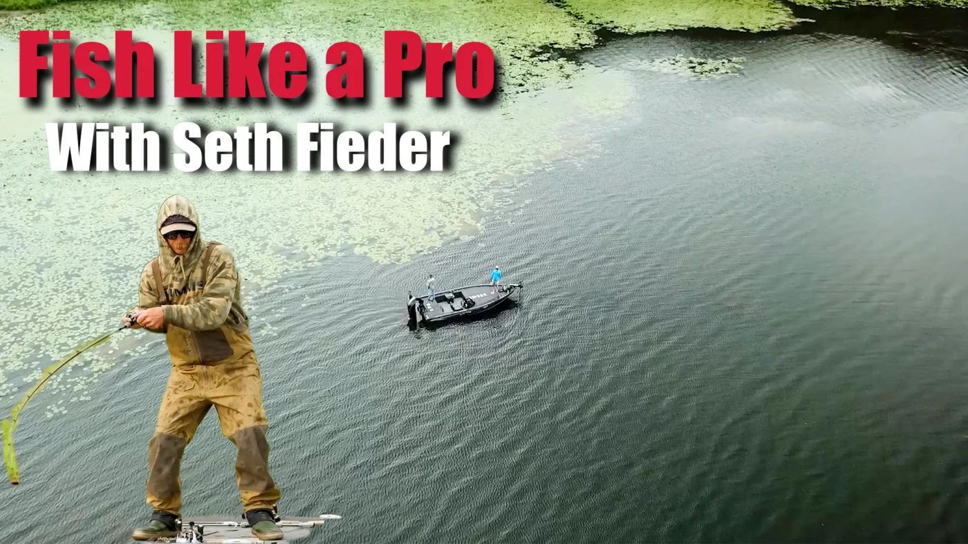 seth feider