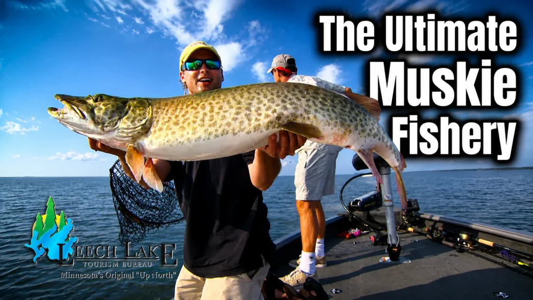 leech lake muskie