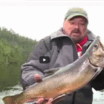 Big Brook Trout in Lakes and Rivers