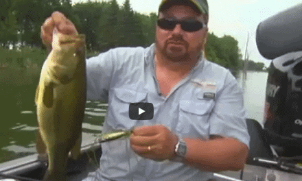 Matching Lures to Largemouth Bass Location and Aggressiveness