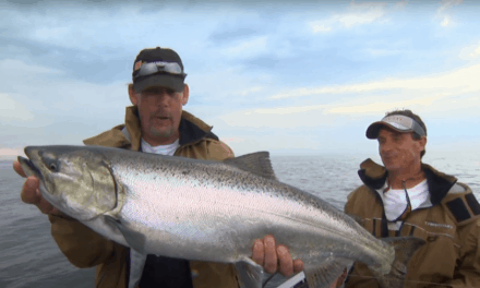 Chinook Salmon Near Harbors and River Mouths