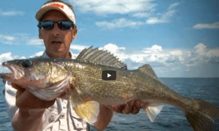 Spinners & Artificials Tantalize Summer Walleyes