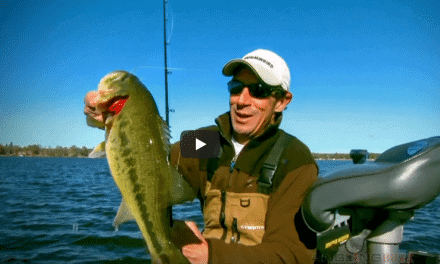 Patterning Largemouth Bass in Early Fall