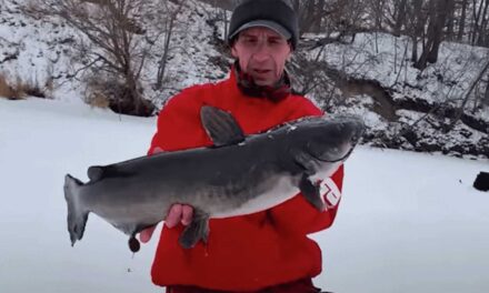 Ice Fishing Catfish: Deadsticking