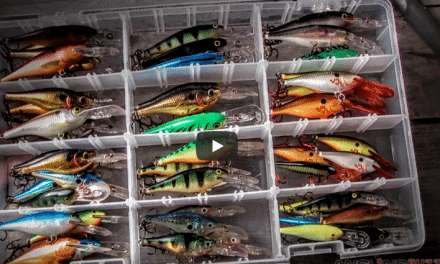 Flat-Sided Crankbaits for Cold-Water Bass