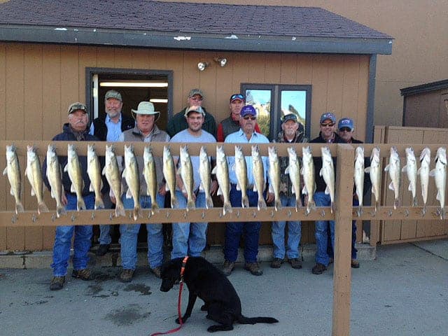 Lake Sharpe (SD) Fishing Report – Kent Hutcheson