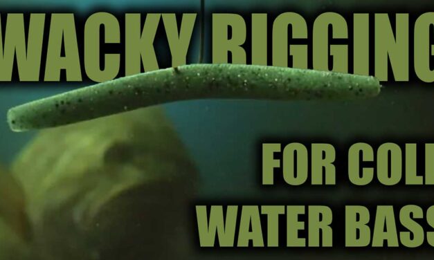 Wacky RIGGING Tactics for Cold-Water Bass