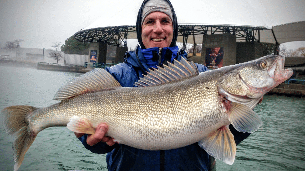 Fish Michigan – The Best Places for Angling
